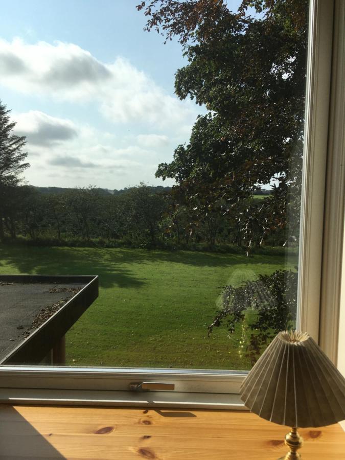 Lintrup B&B Екстериор снимка